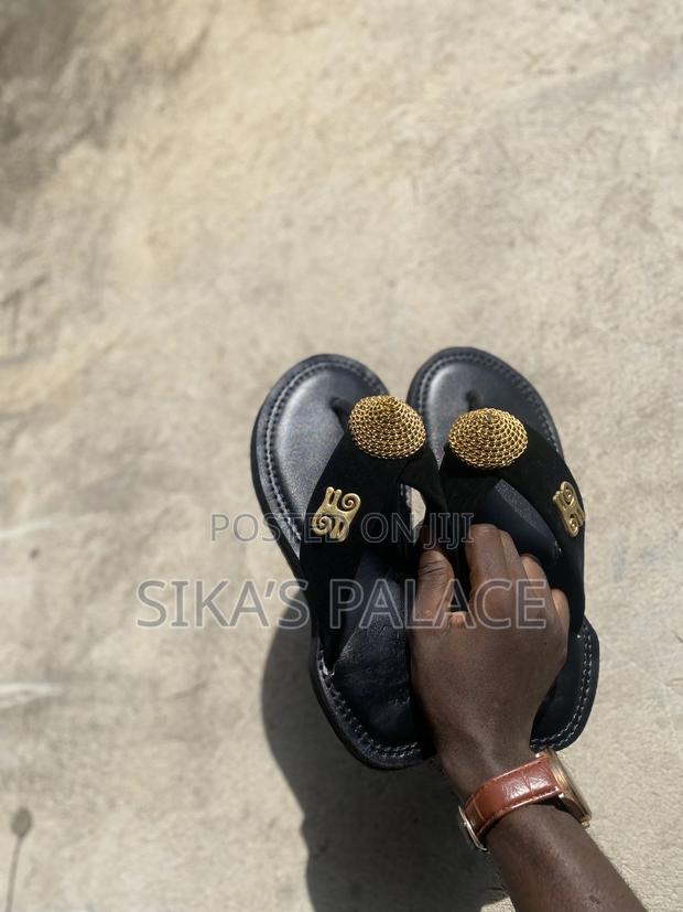Royal Black Chaw Chaw · Photo 2