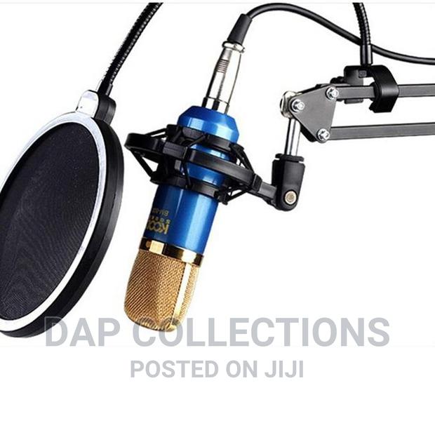 Quality Pop Filter photo 3