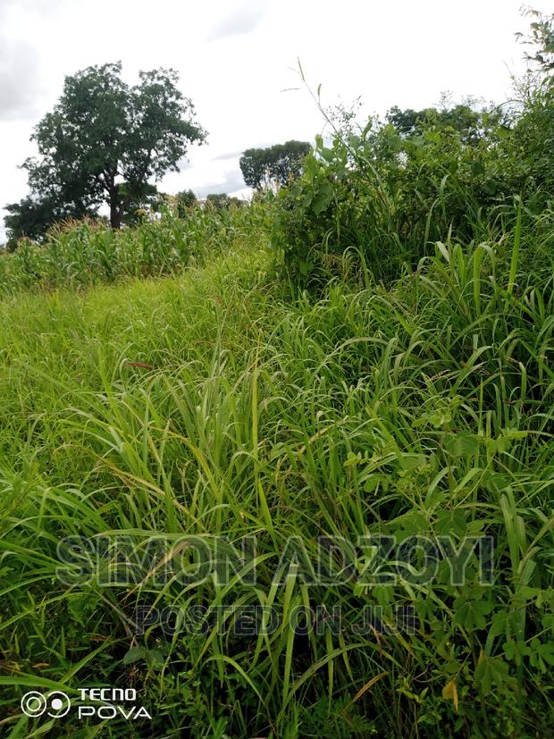 50,000 Acres of Farm Land for Sale or Login Lease