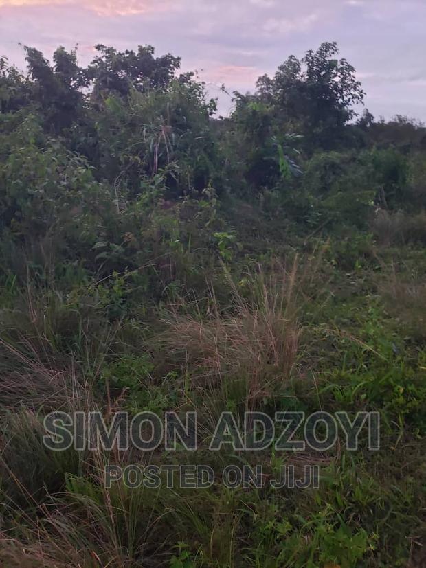 2000 Acres Of Land For Sale · Photo 3