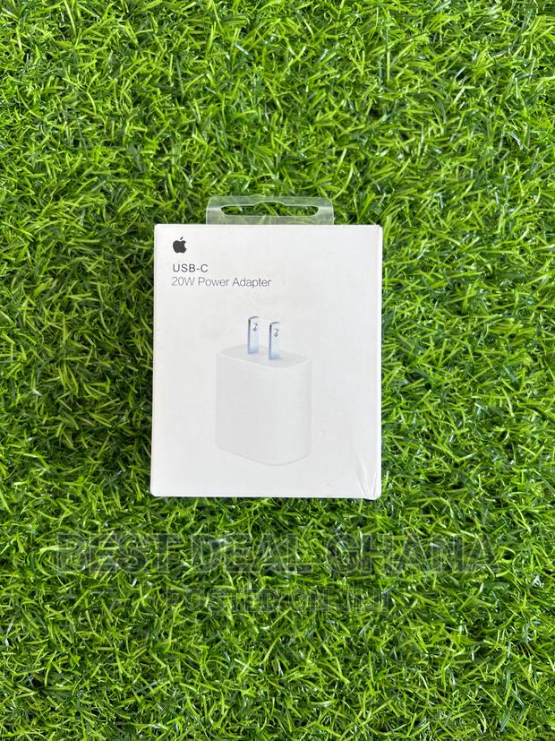 20w Type - C Charger (2pin)