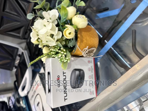 Place and Order for Audiio Tuneout 301 Black Airpod · Photo 2