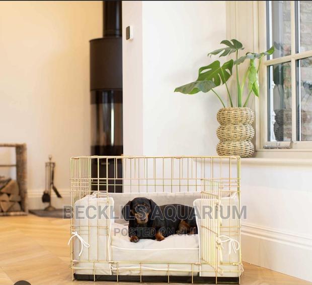 24 Inches Quality Metallic Indoor Dog Cages · Photo 4