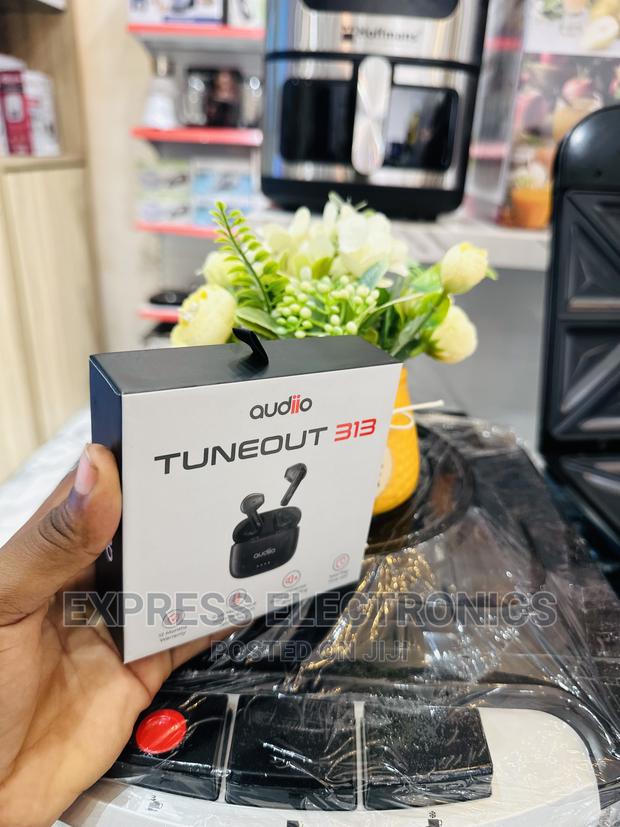 Available Now Audiio Tuneout 313 · Photo 2