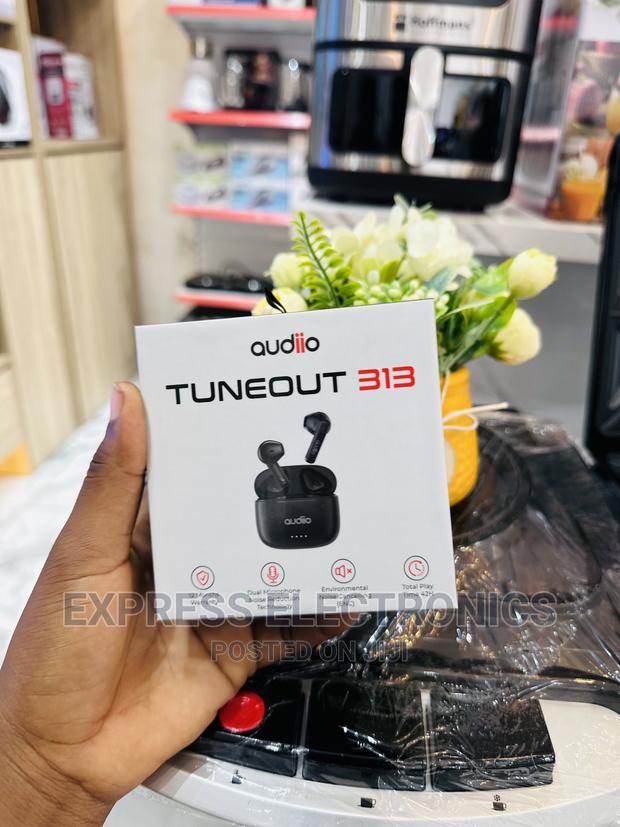 Audiio Tuneout 313—Airpod Wireless Streaming · Photo 2