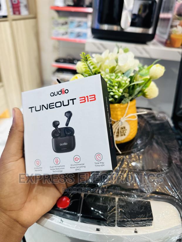 Call and Order for Audiio Tuneout 313— · Photo 2