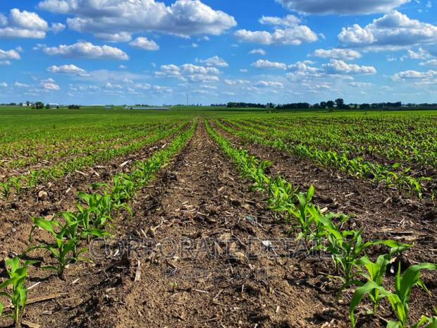 Land For Sale · Photo 2