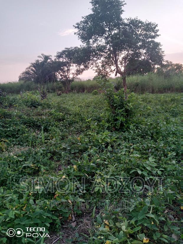 1000 Acres Available Farm Land For Sale