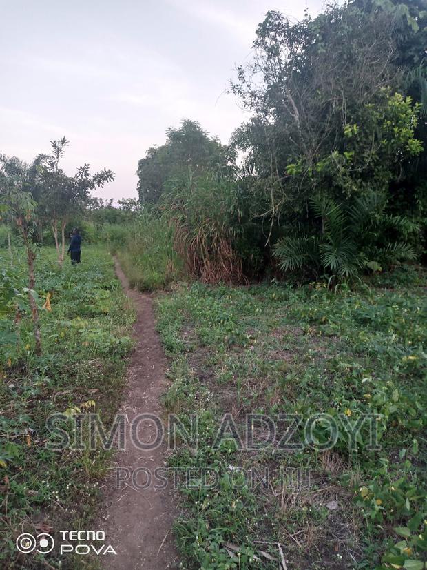 1000 Acres Available Farm Land For Sale