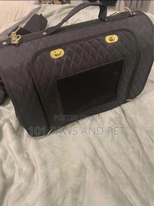 Designer Pet Carrier · Photo 4