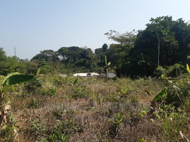 2 Titled and Duly Registered Roadside Plots for Sale -Larteh · Photo 4