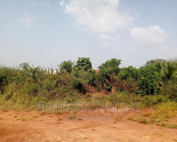 10 Acres Farmland for Sale · Photo 4