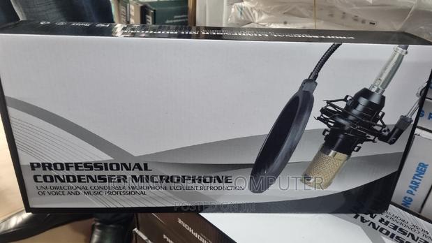Professional Condenser Microphone · Photo 3