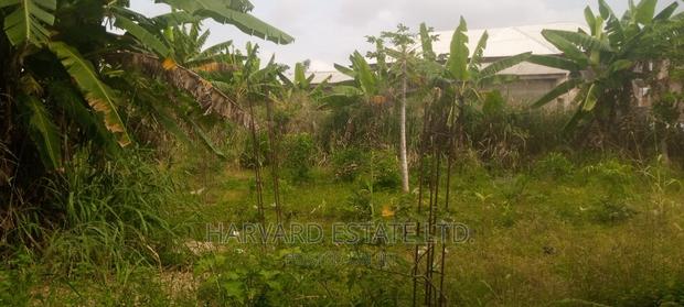 Land at Tech Oduom photo 2