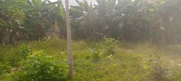 Land at Tech Oduom photo 4