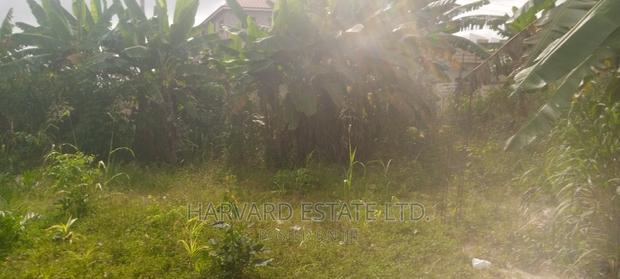Land at Tech Oduom photo 3
