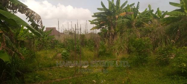 Land at Tech Oduom photo 10