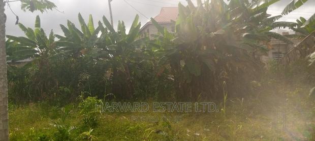 Land at Tech Oduom photo 7