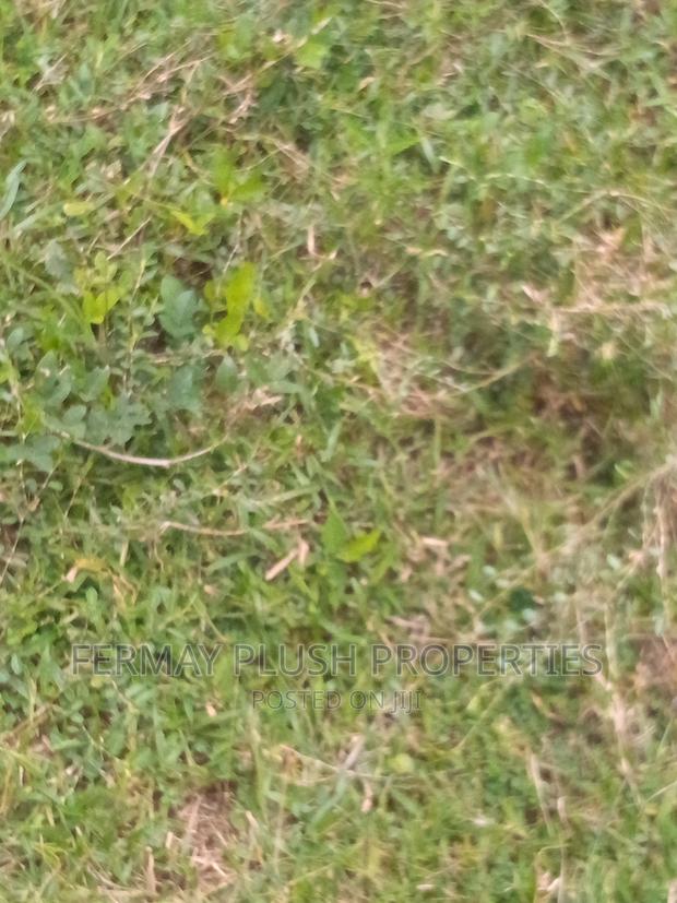Mining Land Available for JOINT VENTURE · Photo 3