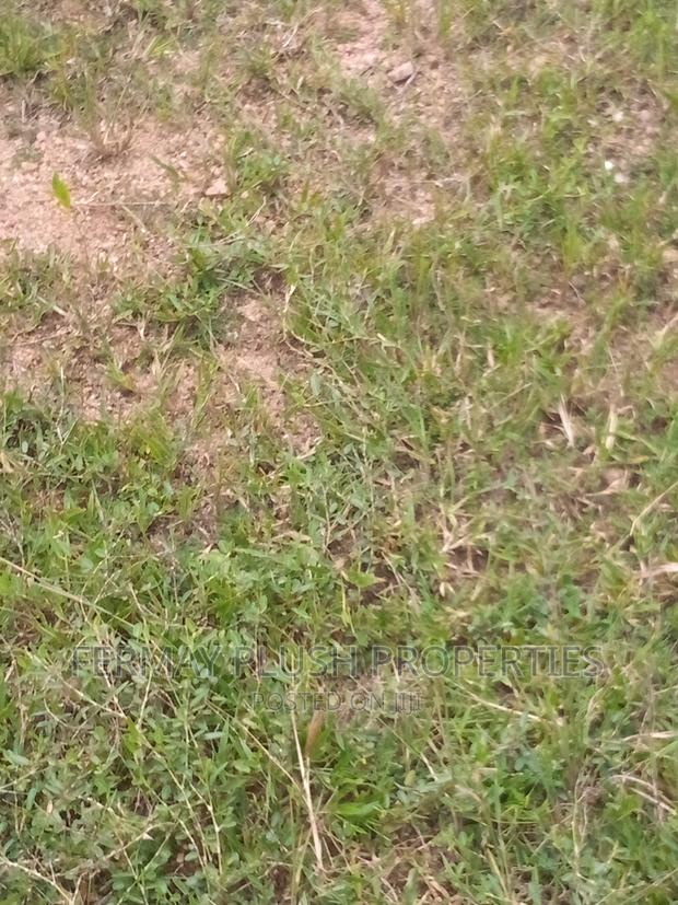 Mining Land Available for JOINT VENTURE · Photo 4