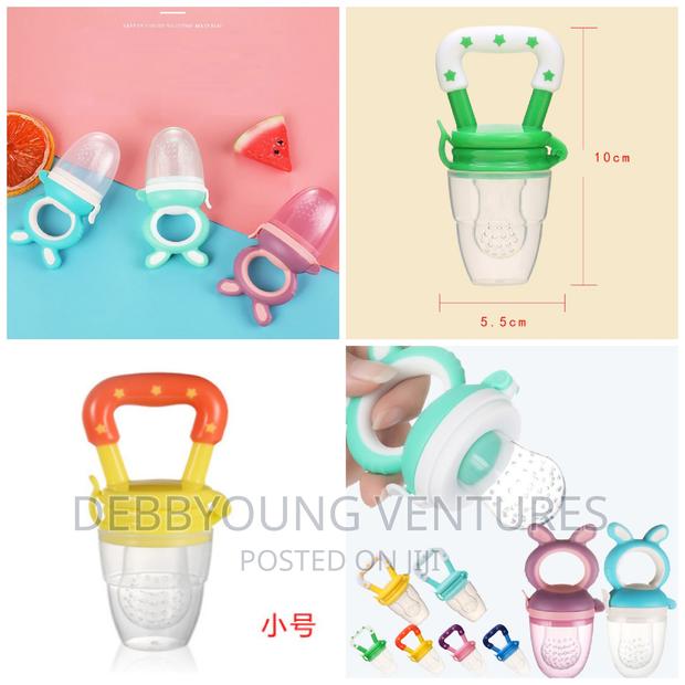 Baby Fruit Pacifier
