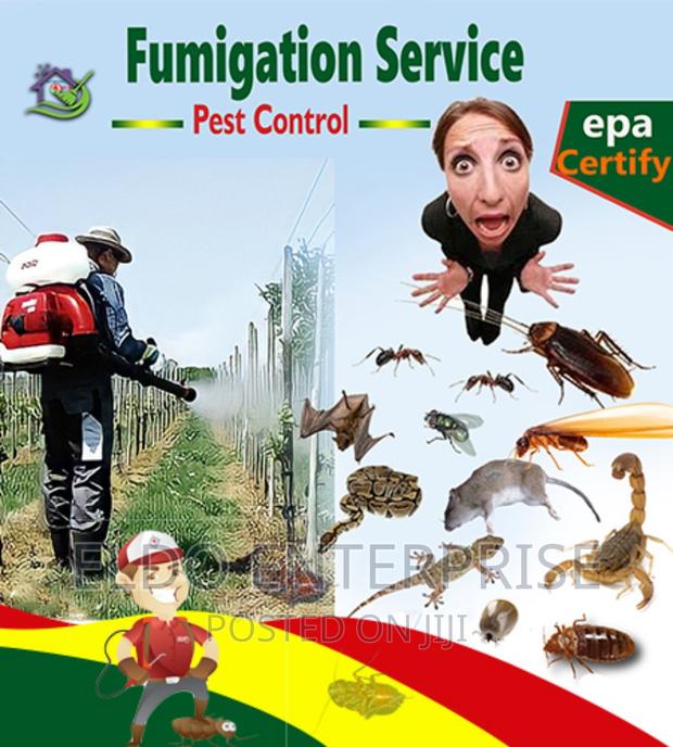 Pest Control Services · Photo 2