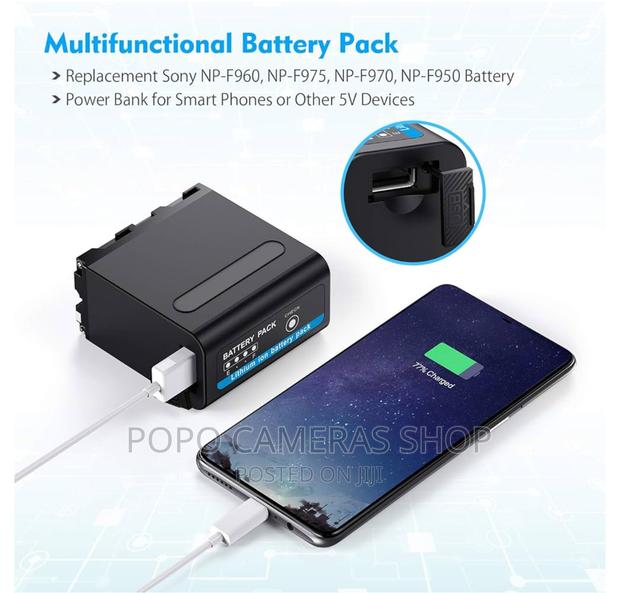 NP-F980 Video Light Battery · Photo 3