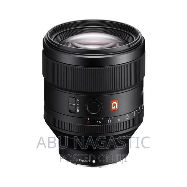 Sony Fe 85mm F/1.4 GM Lens · Photo 4