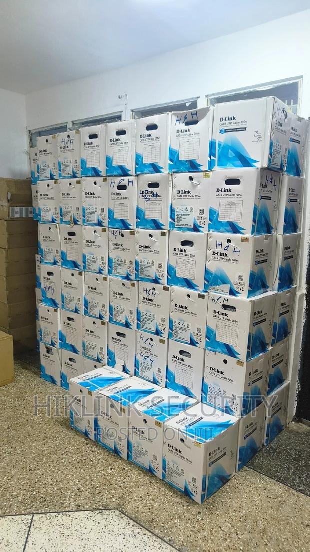 D-Link Cat6 Cable