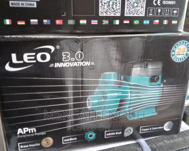 075 Leo Pump · Photo 2