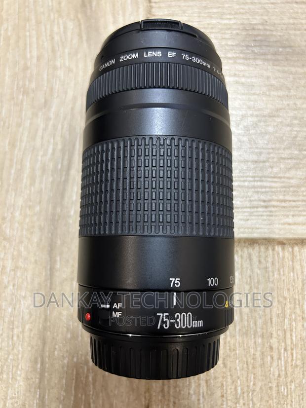 Canon EF 75-300mm F/4-5.6 III Lens