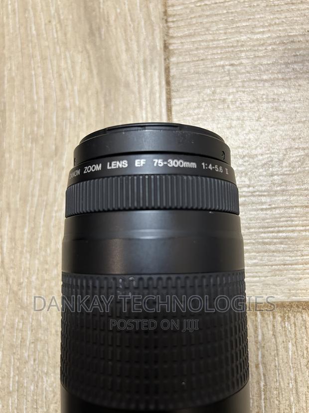 Canon EF 75-300mm F/4-5.6 III Lens photo 2