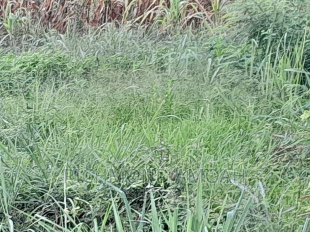 Plot for Sale at Effia Nkwanta · Photo 2
