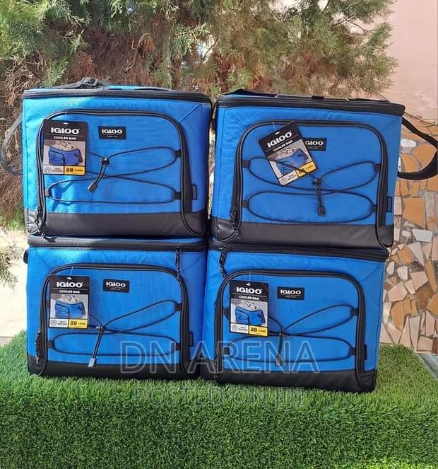 Igloo Insulated Cooler Bag 24 Cans Capacity · Photo 4