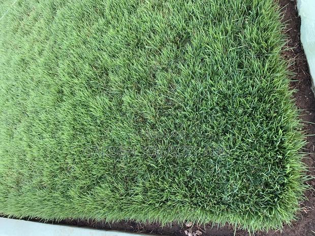 Sale and Installation of Carpet Green Grass for Sale photo 2
