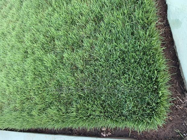 Sale and Installation of Carpet Green Grass for Sale