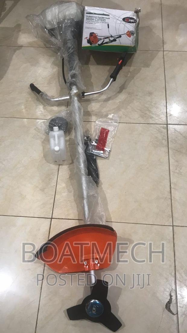 Briggs and Stratton Grass Trimmer · Photo 2