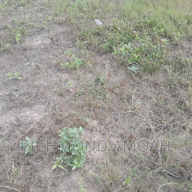Half Plot for Sale at West Fijia · Photo 3