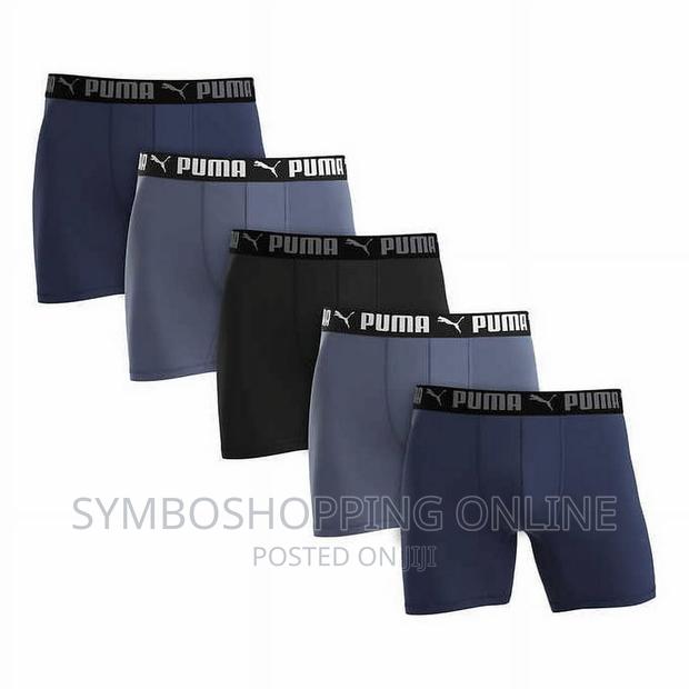 Large Puma Men's Sportluxe 5 Pair Performance Boxer Briefs