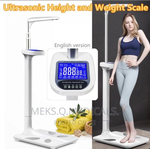 Bmi Scale With Height · Photo 4