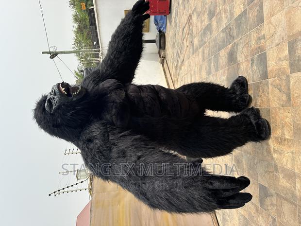 Gorrila Outfit · Photo 4