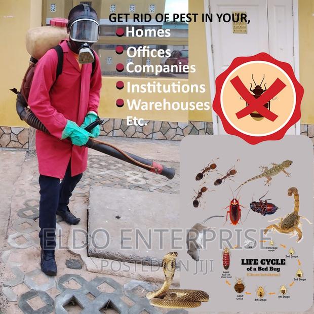 Fumigation (Pest Control) Service · Photo 2
