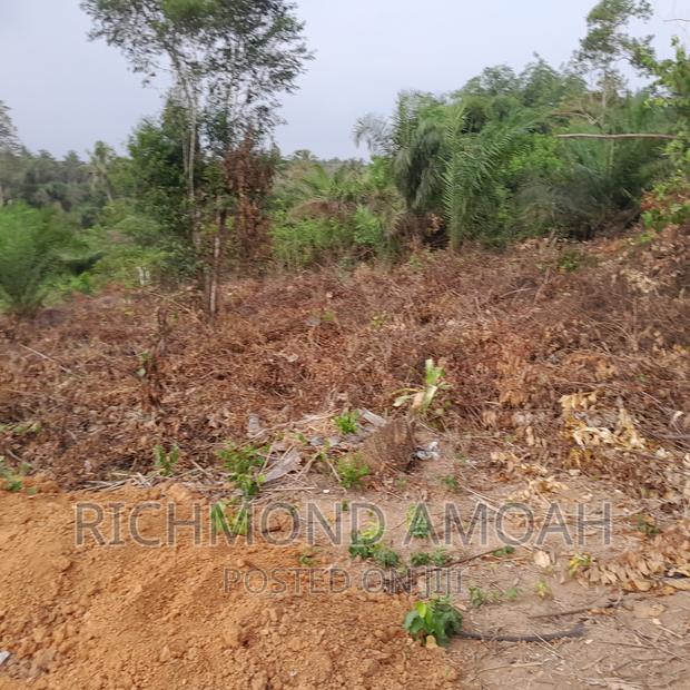 Plot for Sale at Manpong · Photo 1