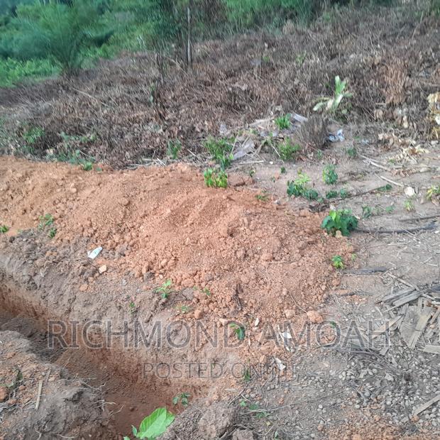 Plot for Sale at Manpong · Photo 2