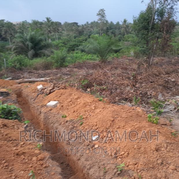 Plot for Sale at Manpong · Photo 3
