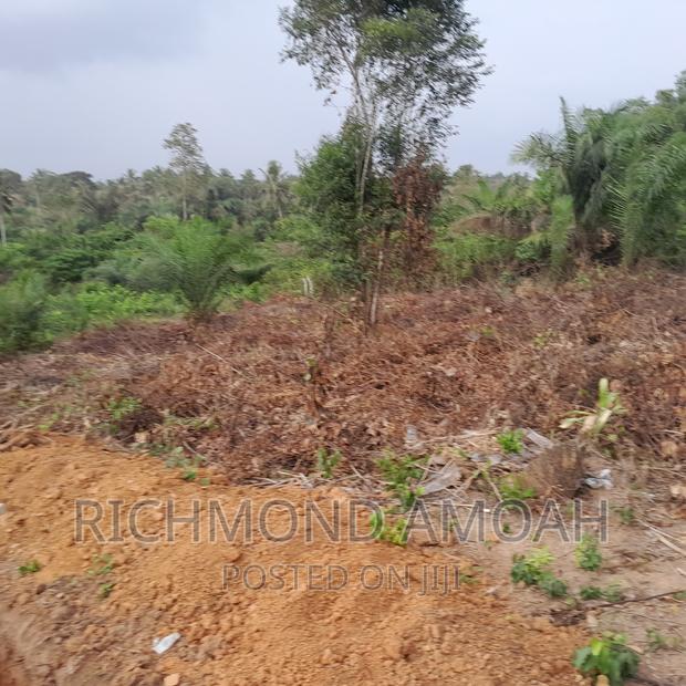 Plot for Sale at Manpong · Photo 4