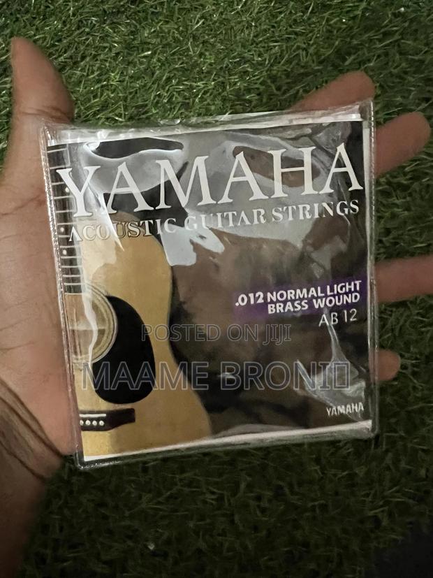 Acoustic Guitar Strings photo 2