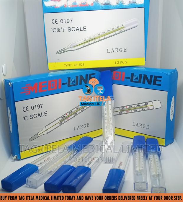 Thermometer (Clinical) · Photo 3