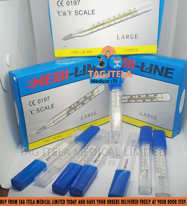 Thermometer (Clinical) · Photo 4