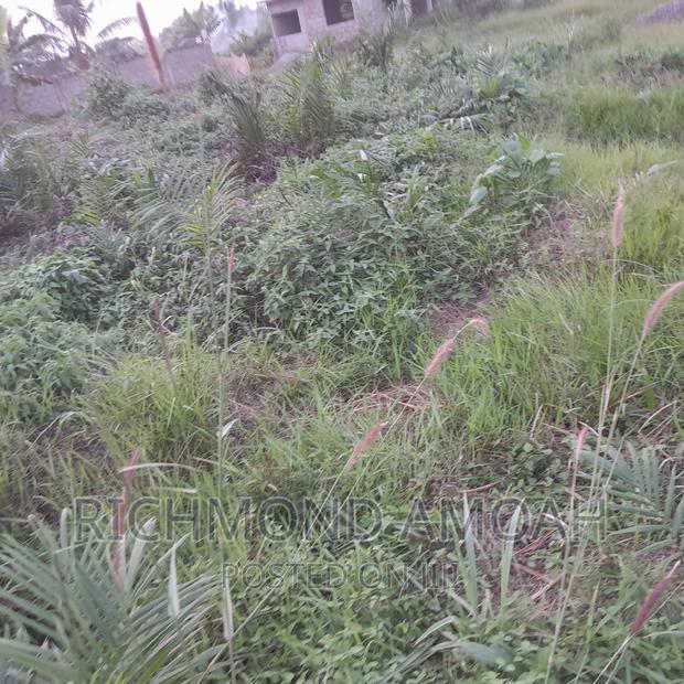 Plot for Sale at Mpatado · Photo 2